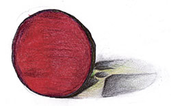 Illustration: Christian Aarnio