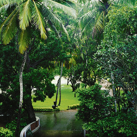 Kerstin Hamilton: Driveway in hotel park.